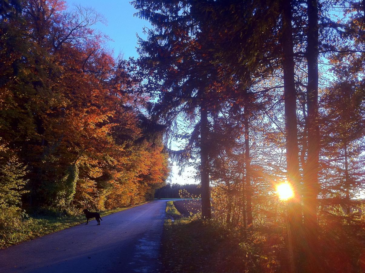 Gasthof Teufl Purgstall an der Erlauf Zewnętrze zdjęcie